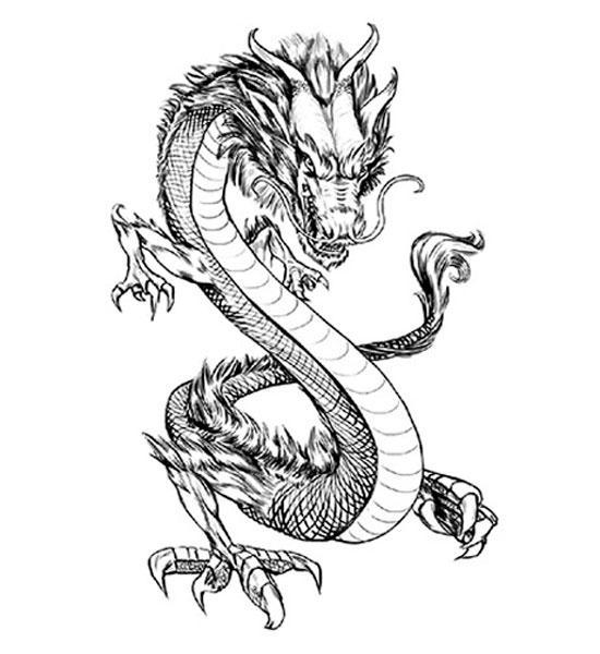 Dragon Ephemeral Tattoo Chinese Art