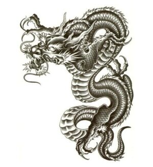 Dragon Ephemeral Tattoo Japanese Art