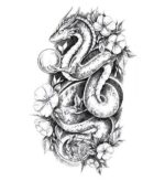 Dragon Ephemeral Tattoo Pearl